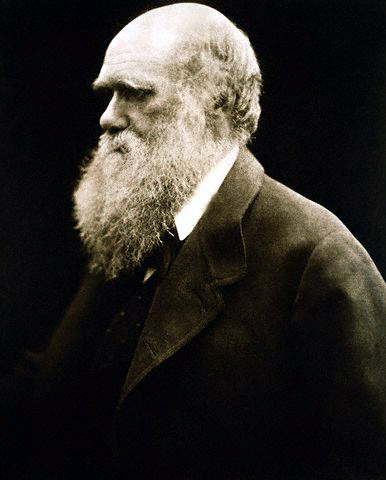 Charles Darwin in 1868, photographed by Margaret Cameron
