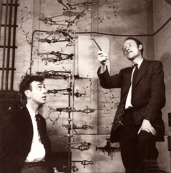 James Watson and Francis Crick